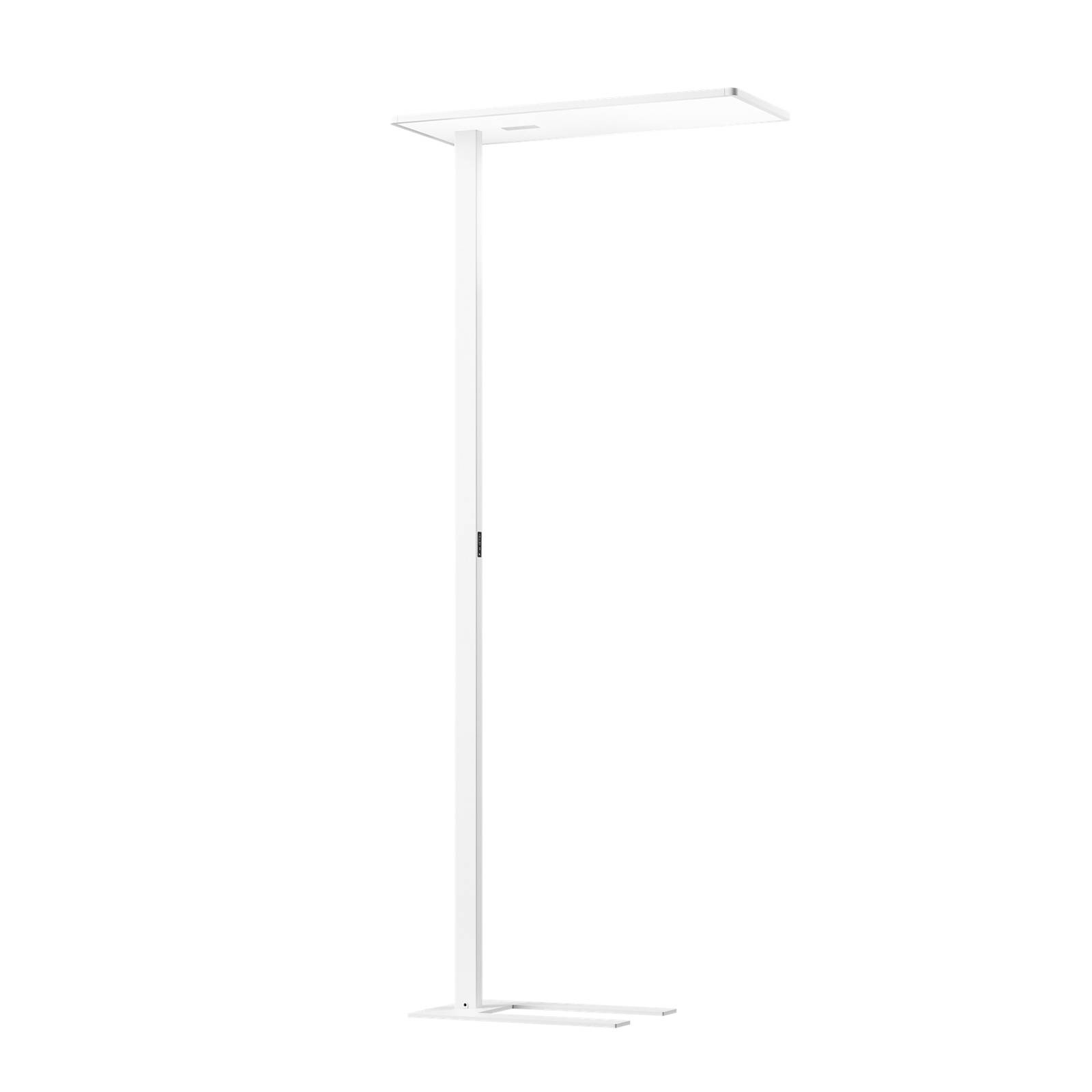 XAL LED-Büro-Stehlampe Task, weiß, Sensor, 940, symmetrisch