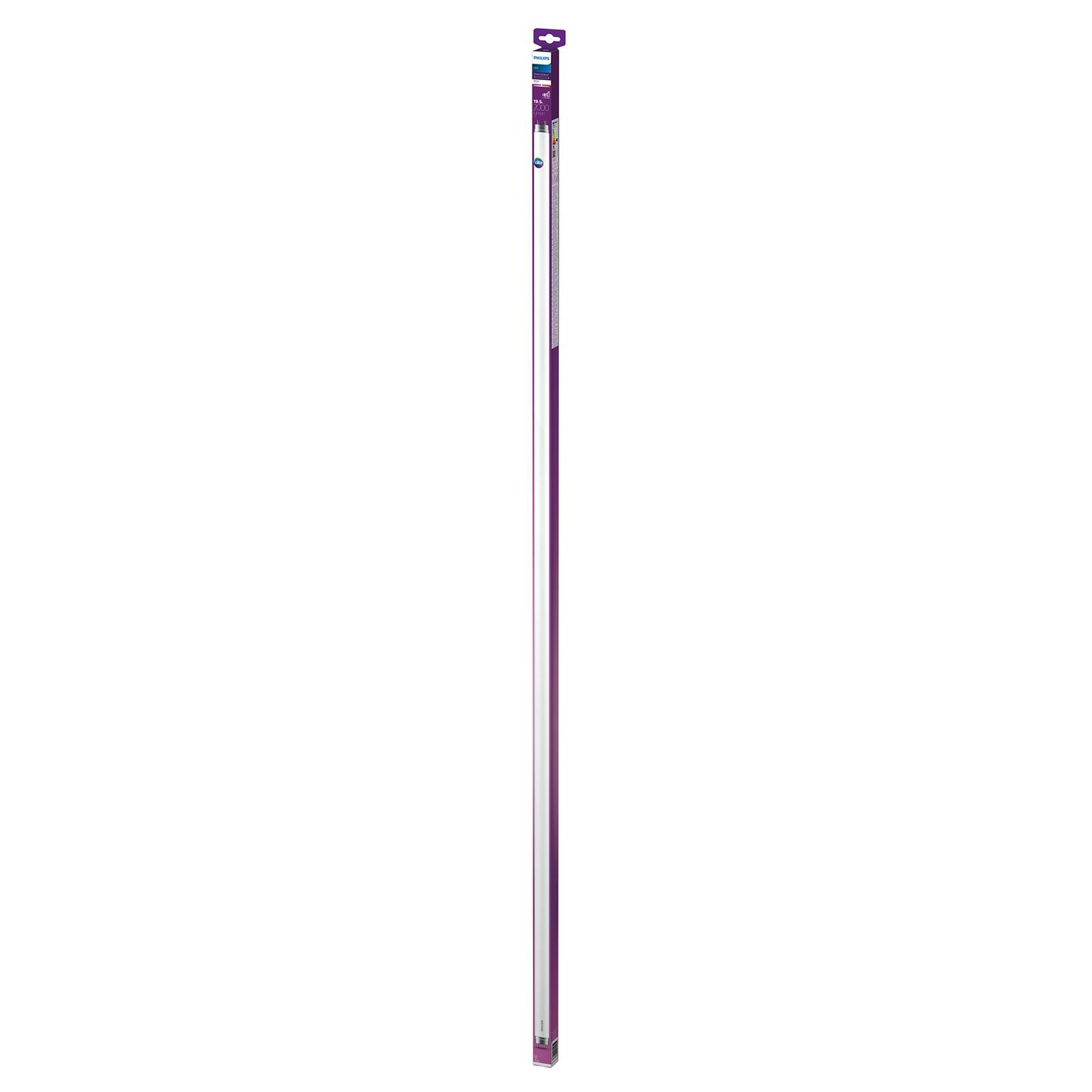 Philips LED-Tube T8 G13 150cm 19,5W 3.000K 2.000lm
