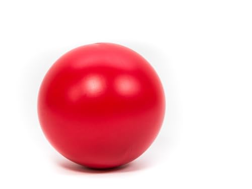 Mewogs Treibball Treib Ball für Hunde Ø 25cm rot