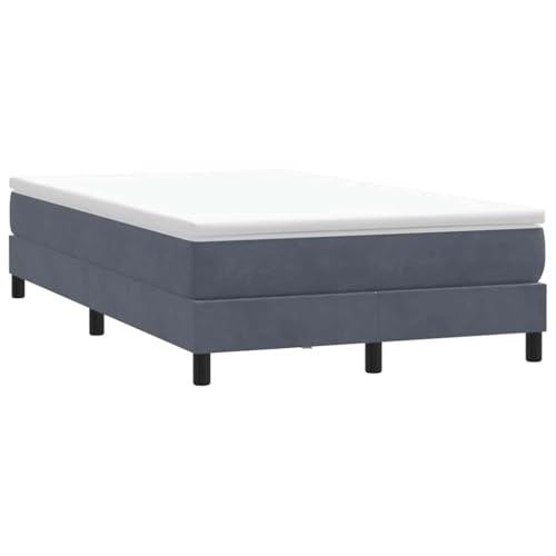 vidaXL Boxspringbett ohne Matratze Dunkelgrau 120x220 cm Samt, Bett, Bettgestell, Doppelbett, Schlafzimmermöbel, Bettrahmen, Samtbett, Polsterbett