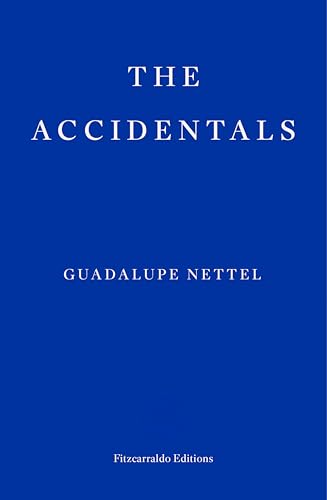 The Accidentals (English Edition)