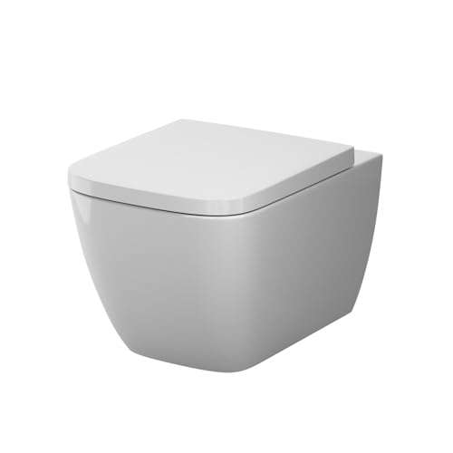 AM.PM Spülrandloses WC mit Softclose Toilettensitz, Toilette für Gäste-WC, Hänge-WC Gem Aquaspin aus Keramik, Wand-WC, 400mm kurz, Weiß