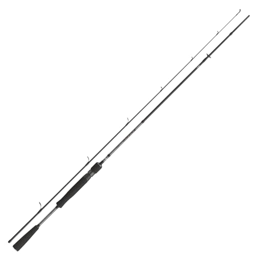 DAIWA Fuego Predator Spin, 2,40m, 10-40g, 2 Teile, Schnell, Raubfisch Angelrute, 11124-240