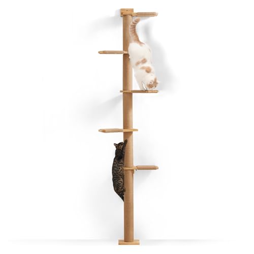FUKUMARU Kratzbaum, 5 Etagen bis zur Decke reichender Katzenturm(206 cm), wandmontierter Katzenbaum,aus Natürliches Gummibaumholz, für Katzen zum Klettern, Kratzen, Ausschau halten und Spielen.