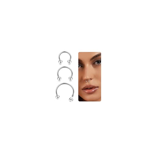 Diamday G23 Titan Hufeisen Silber Septum Piercing Nasenpiercing 16G 8-12mm