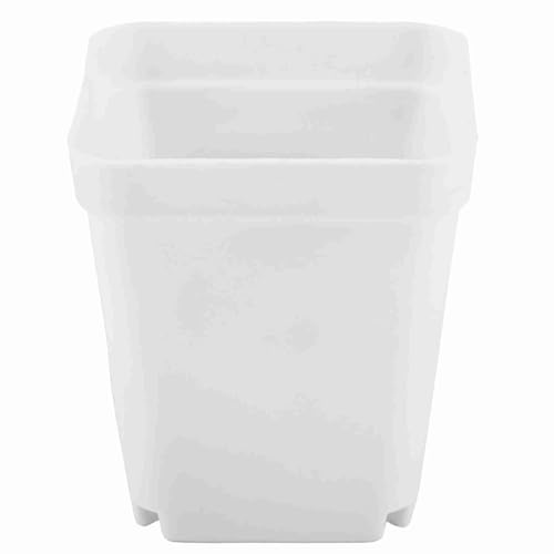 20 ST¨¹CKE Kunststoff Pflanze Blument?pfe, Mini Moderne Sukkulenten Seed Tray Kleine Container Peeling Square T?pfe f¨¹r G?rtner