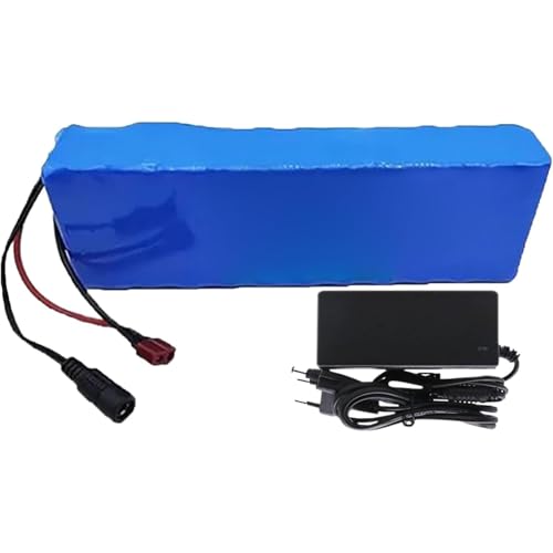 24V 40Ah 7S3P Akku Für Elektrofahrräder, Lithium-Ionen-Akkupack, Mit BMS, Akku Für Elektroroller Wiederaufladbarer Lithium-Ionen-Akku, Mit Ladegerät XT60+DC
