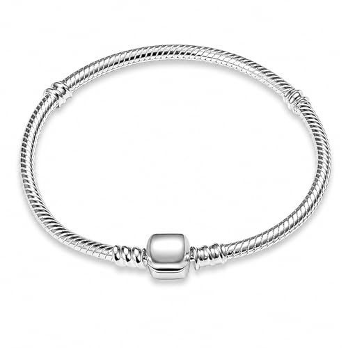 QZKJQDD Charm Armband Edelstahl Damen, Armbänder Schnalle, Serie Schlangenketten Bracelet, Charms Armband Damen Silber Anhänger Armbänder, Bettelarmband Schmuck Geschenk für Frauen (Stil 1)