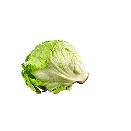 Eisbergsalat, 1 Stück