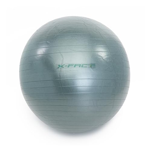 WORQOUT Gymnastikball 75 cm – Fitnessball, Sitzball Rutschfester und reißfester Fitnessball für Yoga, Schwangerschaft, Stabilität und Physiotherapie, mit Pumpe