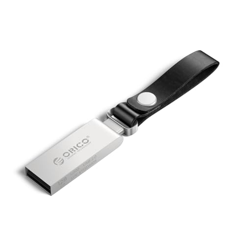 ORICO USB Stick 16GB, USB 2.0 Stick Mini USB Stick USB Speicherstick Mit Lederkordel, 20 MB/s Datentransfer für PC/Laptop/Notebook, Memory Stick aus Metall, Silber