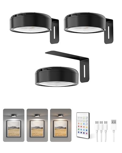 Homelist Bilderleuchte Kabellos, 2200mAh Akku, Schwarz, 3 Stück