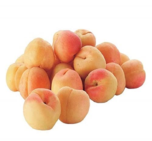 Aprikosen, 500 g