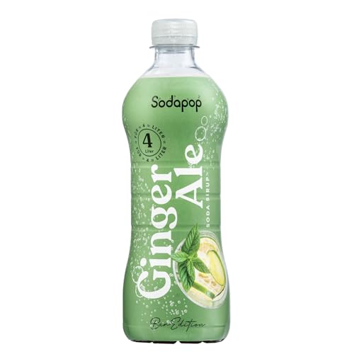 Sodapop Sirup Ginger Ale, Bar Edition, zuckerreduziert, kalorienarm, 500ml