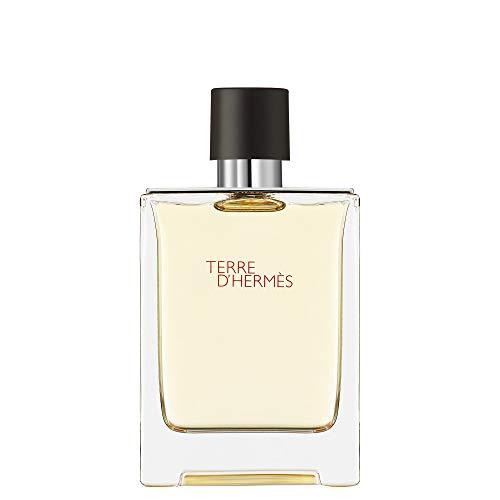 Hermes: Terre dHermes homme/man, Eau de Toilette, Vaporisateur/Spray (100 ml)