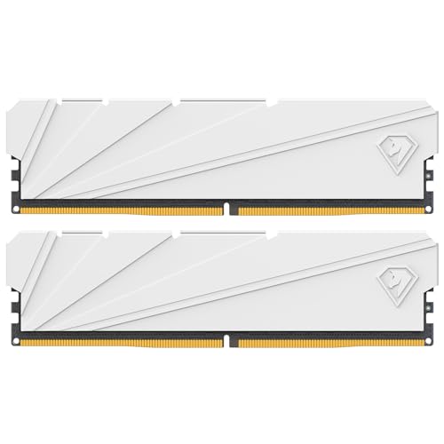 Netac 32GB (2x16GB) DDR4 3200MHz C16 XMP 2.0 High Performance Desktop Workstation Kit, weiß