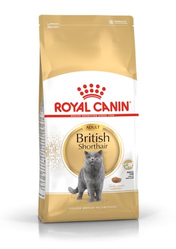 Royal Canin Feline British Shorthair, 1er Pack (1 x 10 kg Beutel) - Katzenfutter