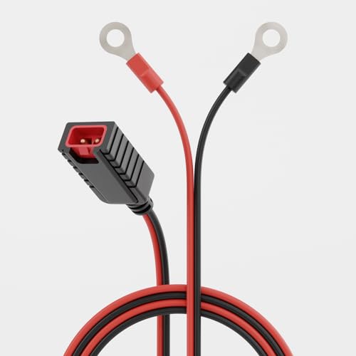 ABSINA Batterieanschlusskabel M6 Ringösen für Absina Kfz Ladegerät A800 & A3800 - Ringösenkabel ideal für Motorräder, Roller UVM.