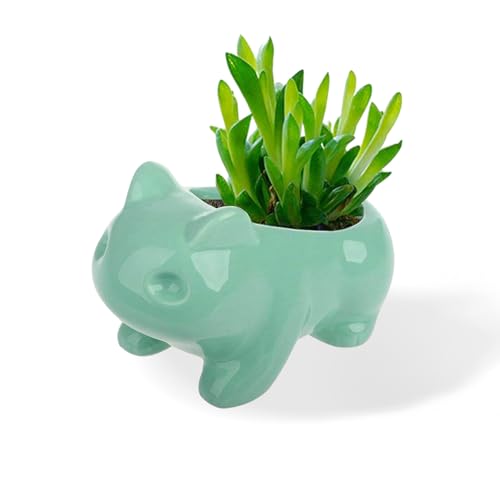 Half Forest Keramik Frosch Blumentopf,Mini Indoor Kleine Blumentöpfe,Kreative,Cartoon,Froschform,Für Desktop, Küche, Terrasse Heimtextilien (11×7cm)