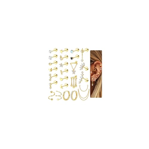 Adramata 25 Stück Helix Piercings Chirurgenstahl Ohrringe 18K Vergoldete/Versilberte Klein Creolen Ohrstecker Set Hypoallergen Knorpel Ohrringe Damen CZ Daith Conch Tragus Piercing Ohr Schmuck