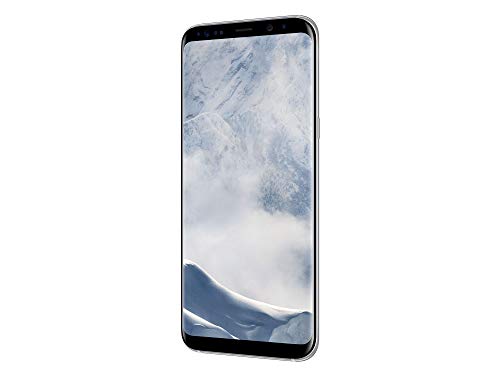 Samsung Galaxy S8+ Smartphone (6,2 Zoll (15,8 cm), 64GB interner Speicher)