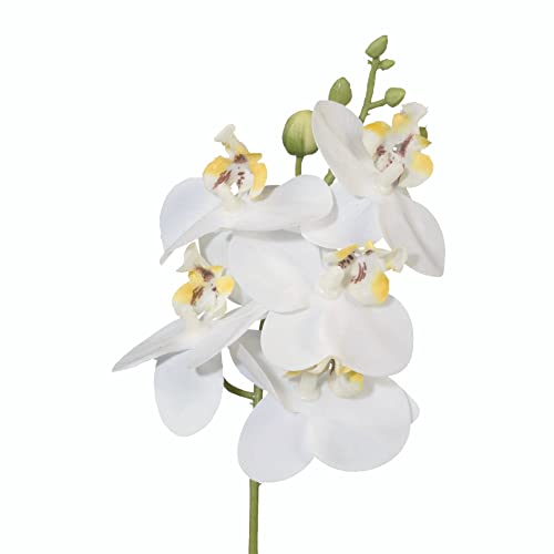 creativ home Künstliche Orchidee Orchideenzweig Kunstblume Phalaenopsis mit Stiel 27cm. Real Touch Oberfläche. (Weiß)