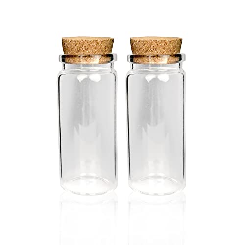 Bestlivings Mini Glasflaschen mit Korken 50ml (2er Pack) - Kleine Glasfläschchen zum Befüllen - Reagenzglas Glas für Hochzeit - Mini Gläser Gastgeschenke