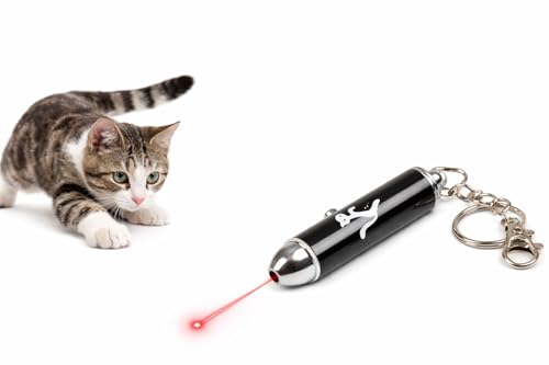Flamingo katzenspielzeug - Laser Pointer Katzen - Alva schwarz - interaktives Laser-Spielzeug mit Schlüsselanhänger - Indoor-Spiel