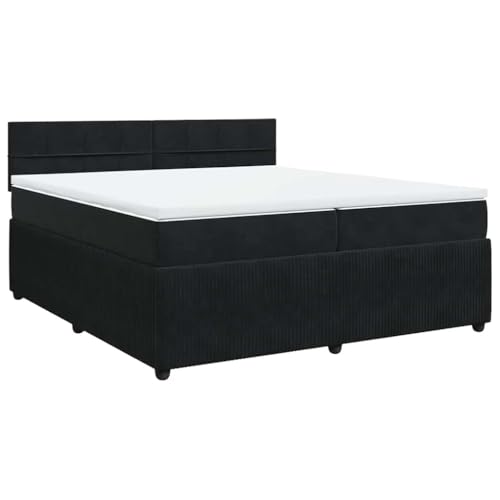 vidaXL Boxspringbett mit Matratze Schwarz 200x200 cm Samt
