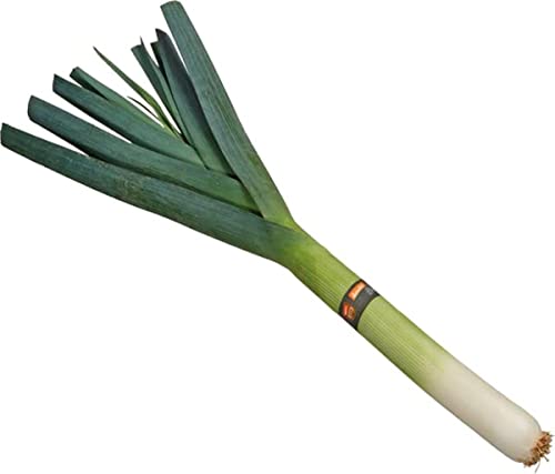 Bio Lauch/Porree, Stück