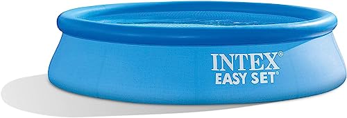 Intex 8FT X 24IN Easy Set Pool Set