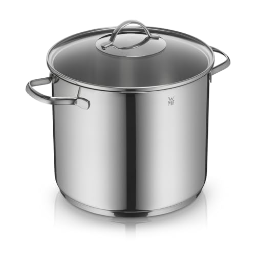 WMF Provence Plus Gemüse- Suppentopf Induktion 24cm, Glasdeckel, Kochtopf groß 8,8l, Cromargan Edelstahl poliert, großer Topf unbeschichtet, backofengeeignet