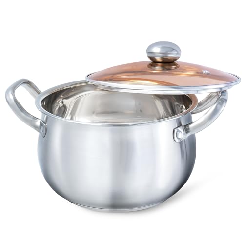 HOUSLUX Topf Plus Kochtopf groß Kochtopf mit Glas-Deckel für alle Herdarten Geeignet (21CM)