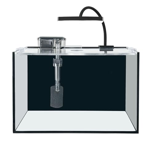 Craftsboys 11L Ultra-Klar Aquarium-Set mit LED-Beleuchtung, Filter, Sand & Steinen - Regenwald-Stil Fischbecken 30x18x20cm