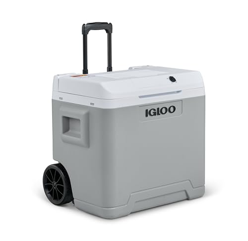 IGLOO IE42 AC/DC elektrische Kühlbox mit Telekop-Griff und Rollen, 42 Liter, Mini-Kühlschrank für Auto und Steckdose, 12V und 230V, grau