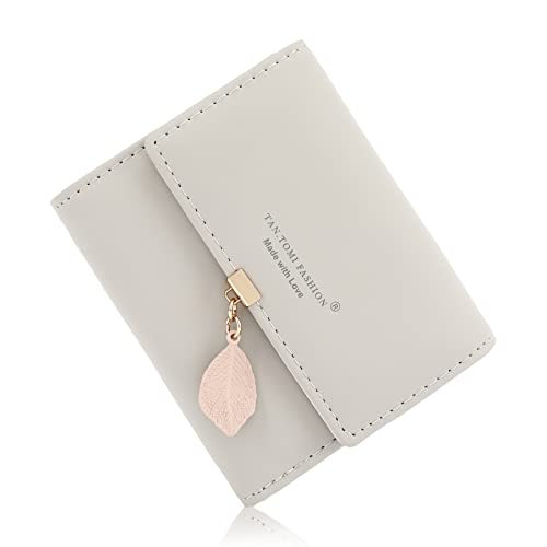 CALIYO Geldbeutel Damen aus Glattem und Weichem Synthetisches Leder Geldbörse klein Kurzformat Portemonnaie Farben mit vielen Fächern(Grau)