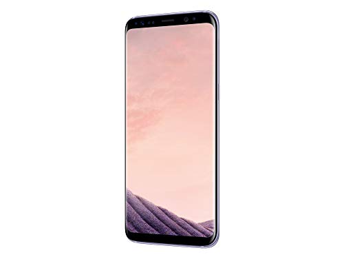 Samsung Galaxy S8 Smartphone Bundle (5,8 Zoll (14,7 cm), 64GB interner Speicher) - Deutsche Version