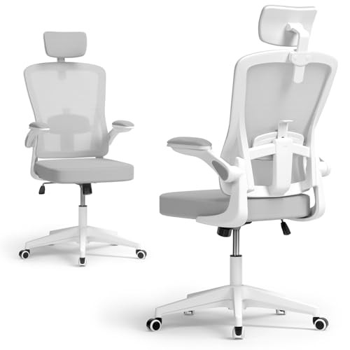 BLINNGO Bürostuhl, ergonomischer Bürostuhl mit Verstellbarer Lendenwirbelstütze und Kopfstütze, Schreibtischstuhl mit hoher Rückenlehne, atmungsaktiver Netzstuhl für Arbeit und Studium (Grau)