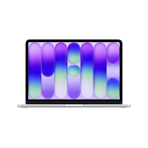 Apple 13