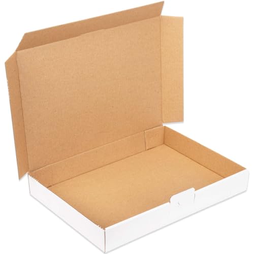 50 Maxibriefkartons 350x250x50 mm weiß DIN A4 B4 bis 2 kg MB-5 (50 Stück)