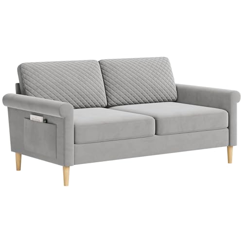 Vesgantti Samt Sofa 2 Sitzer, 164cm Sofa mit beidseitigen Taschen, Couch 2 Sitzer mit 2 Kissen und Armlehnen, Doppelsofa für Wohnzimmer, Schlafzimmer, Büro, Montage ohne Werkzeug 164L*76D*85H cm