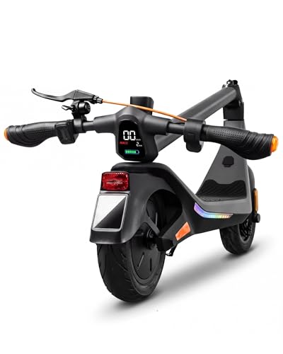 LAELIN RS300 E Scooter mit Straßenzulassung und Fingerabdruck