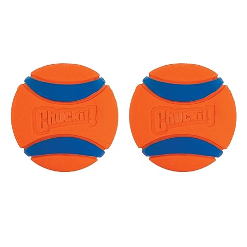 Chuckit! Ultra Ball Small 2-er Pack