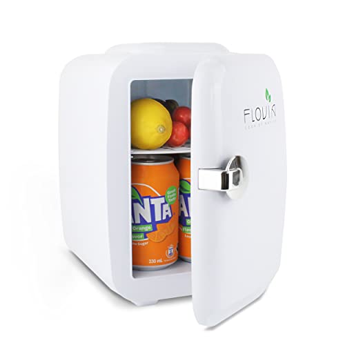 4L Mini Kühlschrank, 2 in 1 Tischkühlschrank mit Kühl- und Warmhaltefunktion, AC 220V im Haushalt / DC 12V-Buchse im Auto, Leise für Auto Schlafzimmer Büro Garten, Picknick Reisen Zeltplatz