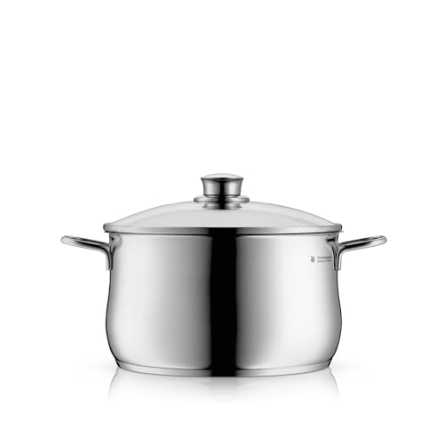 WMF Diadem Plus Kochtopf Induktion 20 cm – 3,7 l großer Fleischtopf aus Cromargan Edelstahl mit Glasdeckel, hohem Rand, spülmaschinenfest, langlebig und unbeschichtet für gesunde, leckere Mahlzeiten