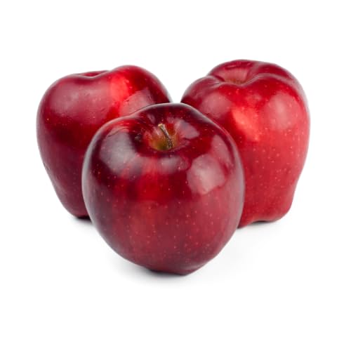 Äpfel - Sorte: Red Prince | Süße 1. Klasse Äpfel aus dem Alten Land (2,5 kg)