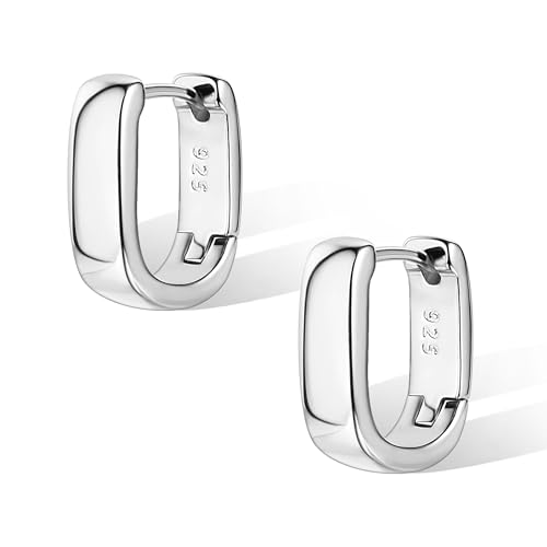 Creolen Silber 925, Ohrringe Silber 925 Hypoallergen Bleifrei und Nickelfrei für Damen, Hochzeit Geburtstag Geschenk Weihnachten