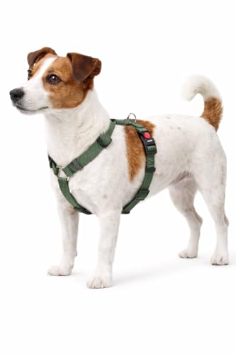 hundegeschirr - ziggi kaki H-Form - größe S - 35-50 cm / 40-50 cm - 15 mm - Nylon hundegeschirr verstellbar