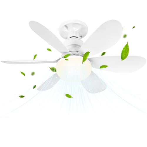 BuzzoXerex Deckenleuchte mit Ventilator, Deckenventilator mit Beleuchtung und Fernbedienung, Klein Leise Decken Ventilator mit 3 Windstufen, Dimmbar, Timing Funktion für Schlafzimmer (50CM)