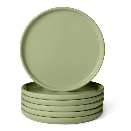 Amazon Basics Glasierte Steingut-Speiseteller, 6-Teiliges Set, Mikrowellen- und Spülmaschinenfest, 26,7cm, Olivgrün
